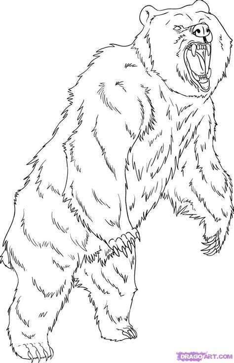 Mean Grizzly Bear Coloring Pages Collection | Bear coloring pages, Bear coloring page, Bear coloring