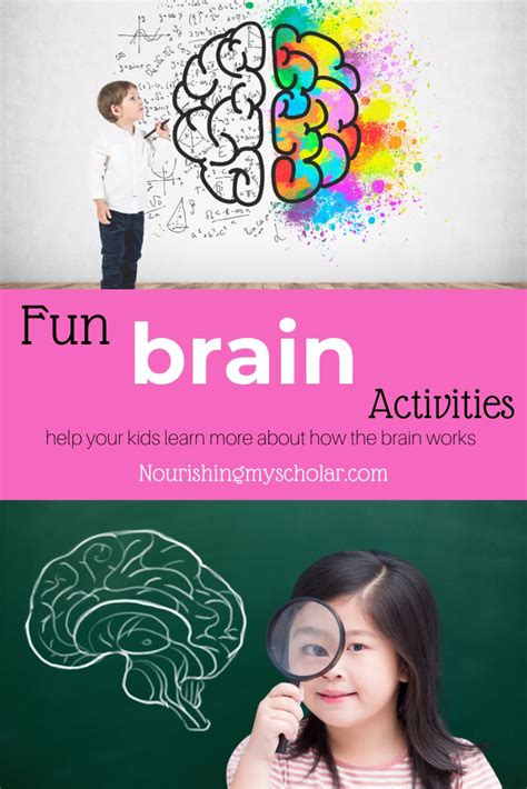 Fun Brain Activities for Kids ~ Nourishing My Scholar | Brain activities, Fun brain, Science ...