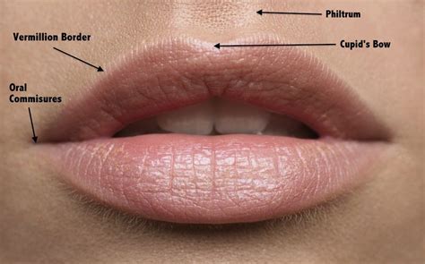 Lip Filler Gone Wrong: What to do - Simply Clinics