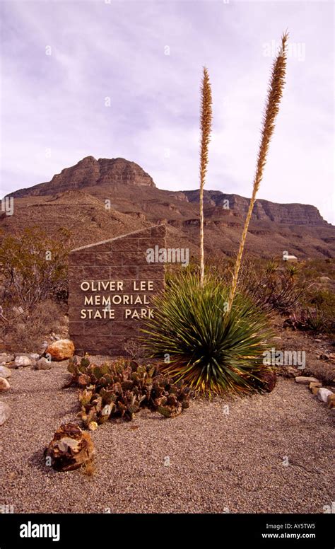 Entrance to Oliver Lee Memorial State Park, and Dog Canyon National Recreation Trail, near ...