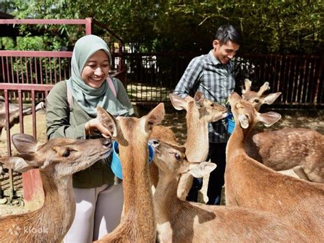 Langkawi Wildlife Park Ticket - Klook