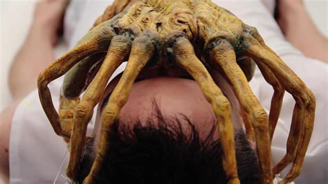 Alien Movie Facehugger