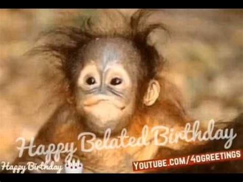 funny monkey singing happy birthday