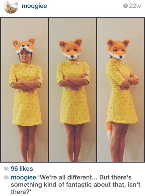 Fantastic Mr Fox Costume