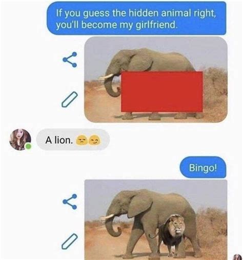 If You Guess The Hidden Animal Right You’ll Become My Girlfriend A Lion Bingo 57 Meme