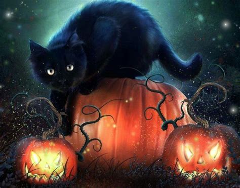 Black cat w/ pumpkins | Halloween wall art, Halloween pictures, Halloween art