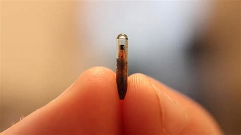 Human Microchipping: Would you consider being chipped? | WBMA