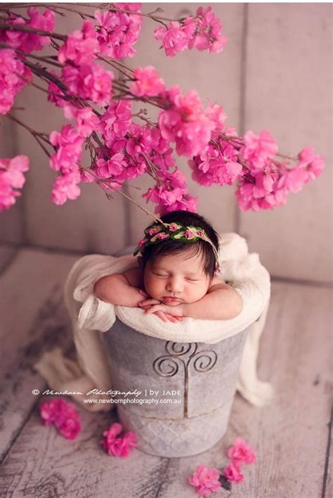 Katarina halo | Newborn baby photography, Baby girl newborn photos, Newborn baby photoshoot