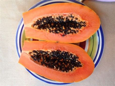 Maradol Papaya | Food, Delicious fruit, Papaya