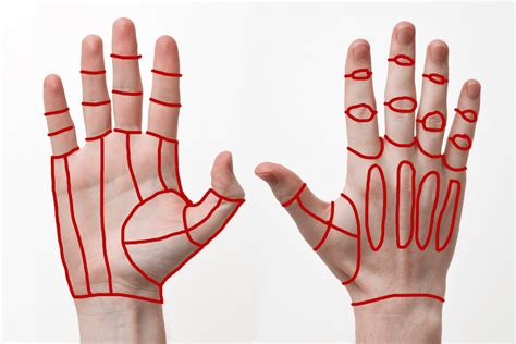 Topology Guides in 2021 | Topology, Hand topology, Human hand