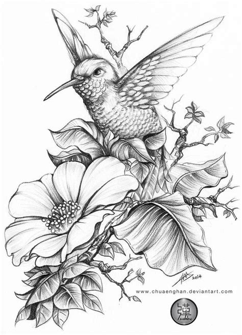 Hummingbird by chuaenghan on DeviantArt | Bird drawings, Flower drawing, Sketches