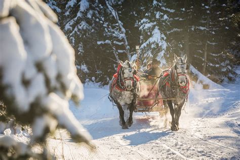 Holiday Horse Drawn Sleigh Rides at Fernie Alpine Resort