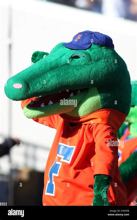 University of florida mascot hi-res stock photography and images - Alamy