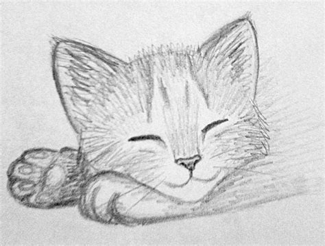 Image result for easy animals sketches charcoal Easy Pencil Drawings, Pencil Drawings Of Animals ...