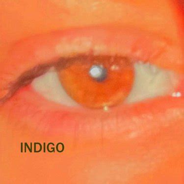 Sahb - indigo - Reviews - Album of The Year