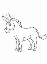 64 Dibujos para colorear De burros  ColoringPagesOnlycom sketch template