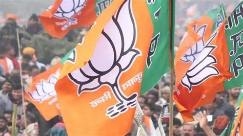 Lok Sabha elections 2024: BJP names three more candidates, drops Union minister - Fight Against ...