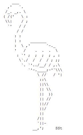 ascii animals by Sebastian Stöcker aka SSt (2000-2005) | Text art ...