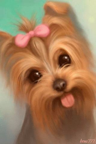 *GIF Cute Dogs And Puppies, Baby Dogs, Cute Babies, Yorkshire Terrier Haircut, Pin Pals, Girl ...