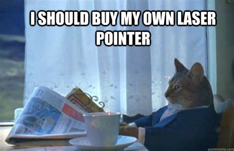 I should buy my own laser pointer - Sophisticated Cat - quickmeme