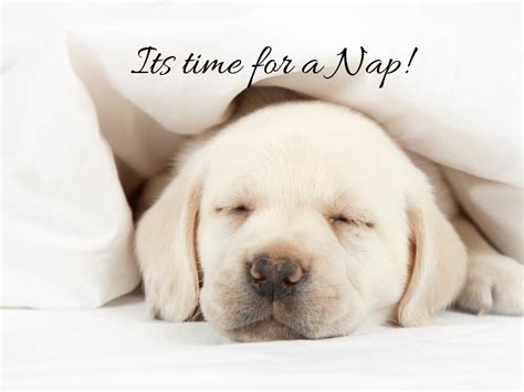 In Praise of the Afternoon Nap - FabuliciousFifty