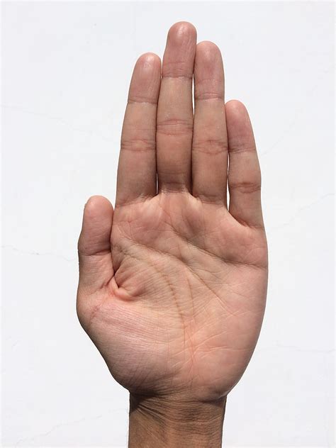Free photo: palm, hand, finger, bleaching, palm reading, young, japanese | Hippopx