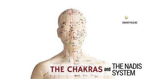 The Chakras and the Nadis System - Humanity Healing Network