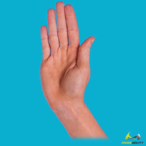 Ball Fist Stretch For Trigger Finger Exercise Trigger Finger Exercises, Finger Joint Pain ...