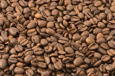 Coffee Beans Free Stock Photo - Public Domain Pictures
