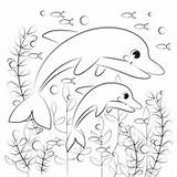 Dolphins coloring Pages  Free Coloring sketch template