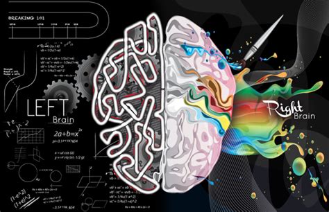 Left Right Brain on Behance | Right brain, Brain art, Brain