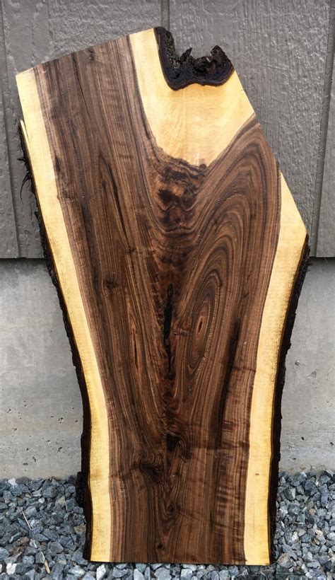 Walnut Wood Slab 27" x 13" x 1" - Frison-Logue Hardwoods