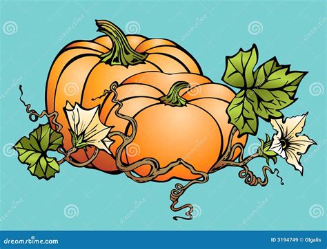 Big pumpkins stock vector. Illustration of crop, halloween - 3194749