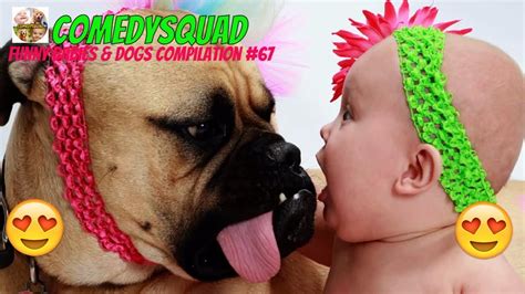 Funny Babies and Dogs Video-Funny Babies & Dogs Compilation #67 - YouTube