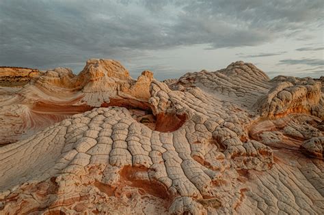 Vermilion Cliffs National Monument | Tours