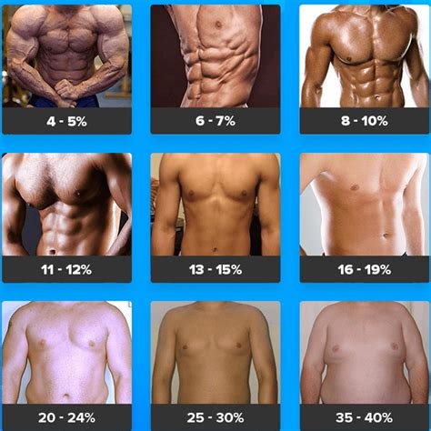 Mundstück warum nicht Beschuss body fat percentage for six pack Spezifikation sich verhalten ...