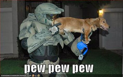 Funny dogs with guns | LoL Picture Collection