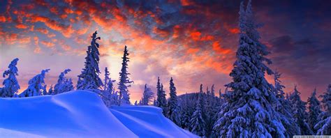 3440X1440 Winter Wallpapers - Top Free 3440X1440 Winter Backgrounds ...