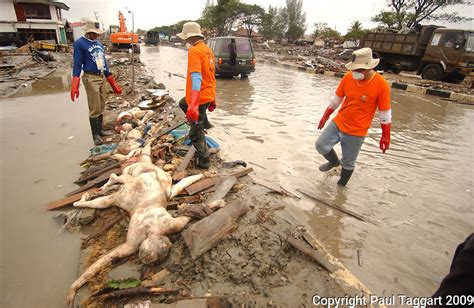 Indonesia Banda Aceh Tsunami Recovery | Paul Taggart: Photojournalist