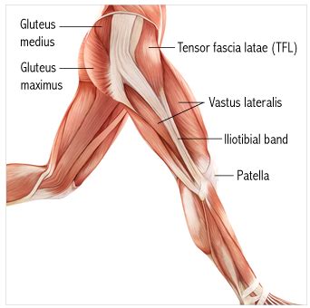 How tensor fascia latae (TFL) pain is simplified sep.