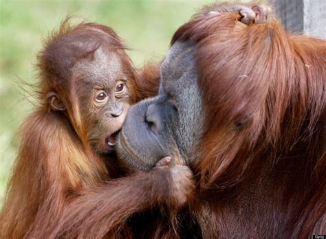 These Incredible Photos Prove That True Love Does Exist | HuffPost