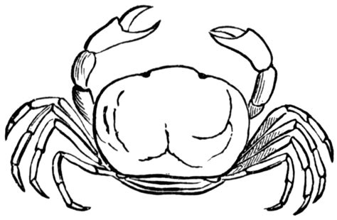 Crab black and white clipart - WikiClipArt