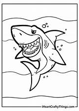 25 Shark Coloring Pages sketch template