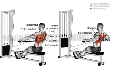 Wide-grip cable row exercise instructions and video | weighttraining.guide