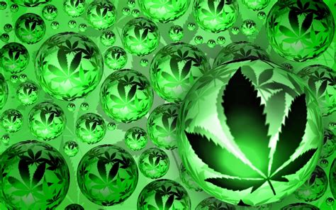 CANNABIS.COM: Legalização Da Maconha! -O que você acha?