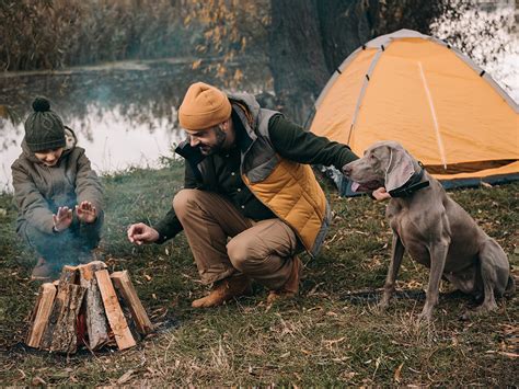 11 Best Dog-Friendly Camping Spots in NSW | Man of Many