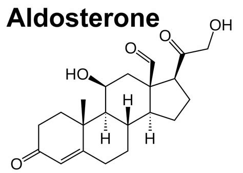 Aldosterone hormone function, production, causes of high or low aldosterone