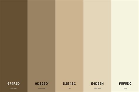 25+ Best Beige Color Palettes with Names and Hex Codes – CreativeBooster