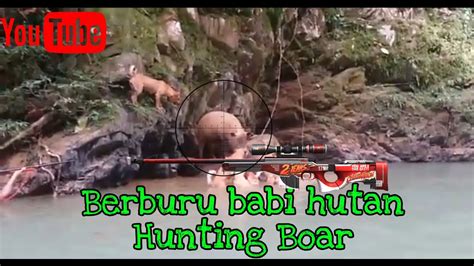 Berburu babi hutan / hunting boar - YouTube