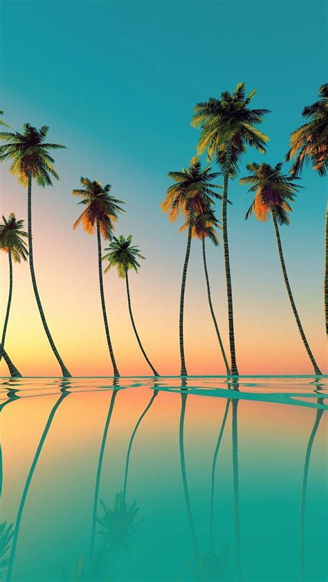 Palm Trees 4K Wallpapers - Top Free Palm Trees 4K Backgrounds ...